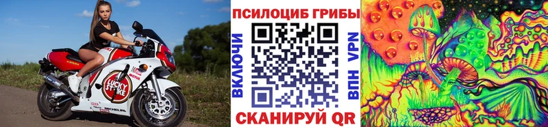 Псилоцибиновые грибы Cubensis  это наркотические препараты  Вяземский 